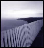 fence