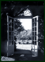 looking through french doors onto a sunny garden